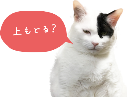 ページトップへ